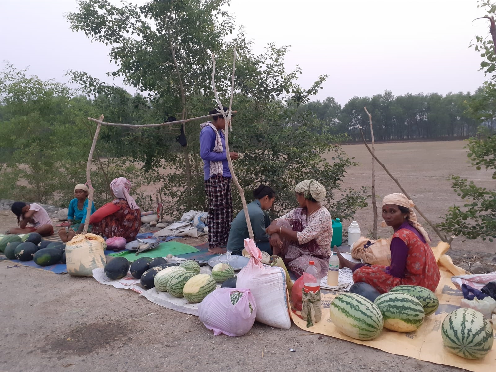 उखरमाउलो गर्मीले चौतर्फी समस्या