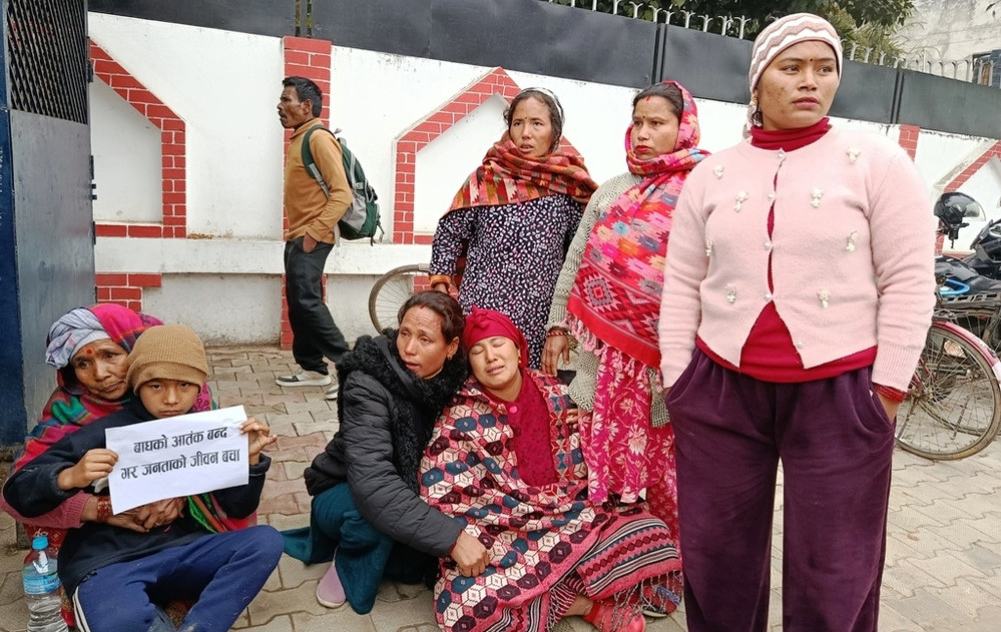 दुई साता अघि भारतबाट फर्किएका नन्दु चितुवाको आक्रमणमा अस्ताए